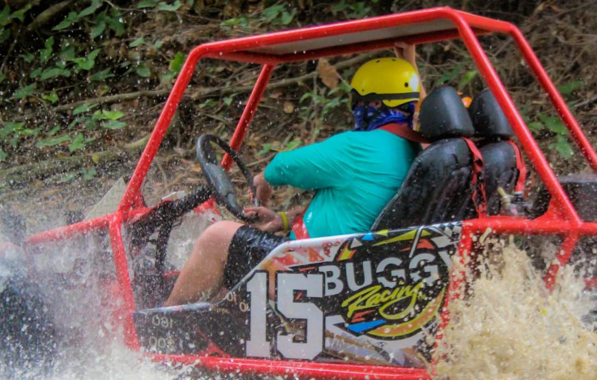 Dunne Buggy Double 2 Pax