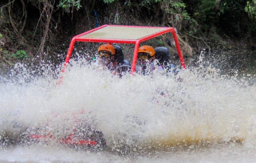 Dunne Buggy Double 4 Pax