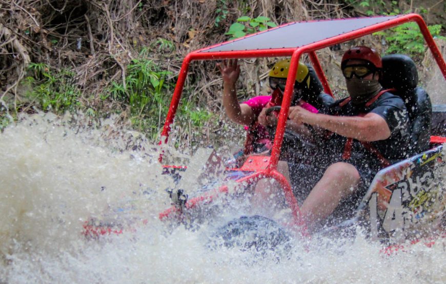 Dunne Buggy Double 2 Pax
