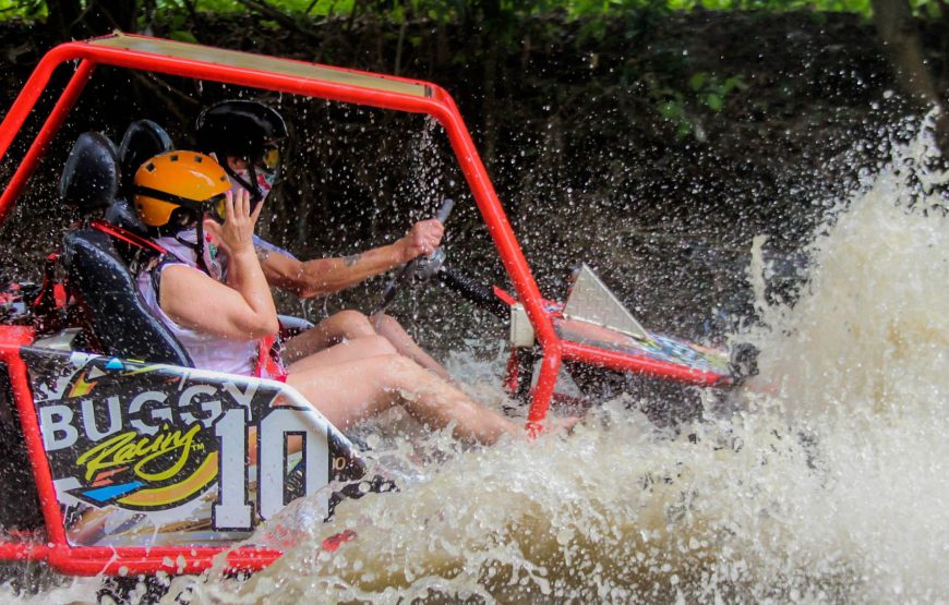 Dunne Buggy Double 4 Pax