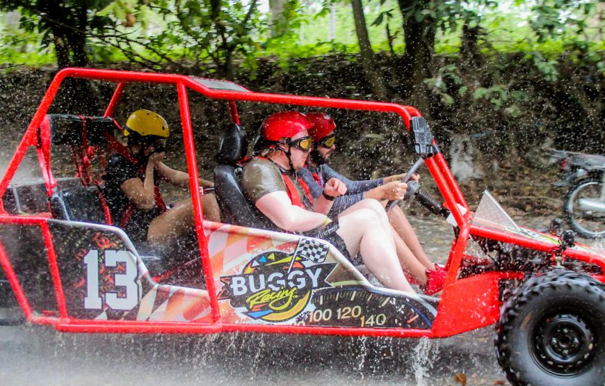 Dunne Buggy Double 4 Pax