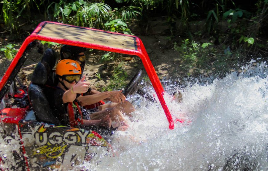 Dunne Buggy Double 4 Pax