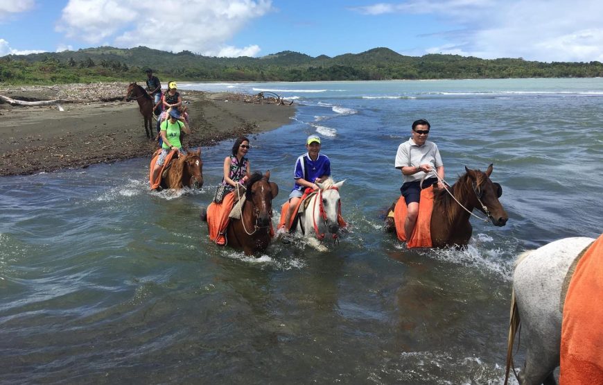 Horseback Riding Tour