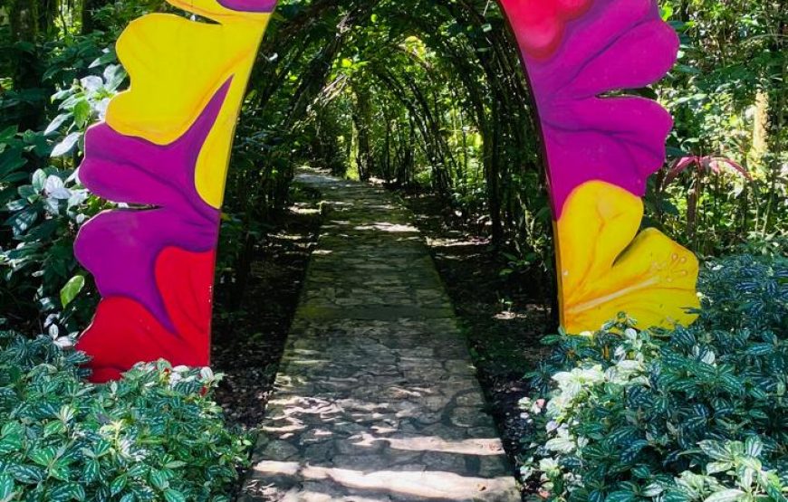 Tour to Isabel de Torres Mountain