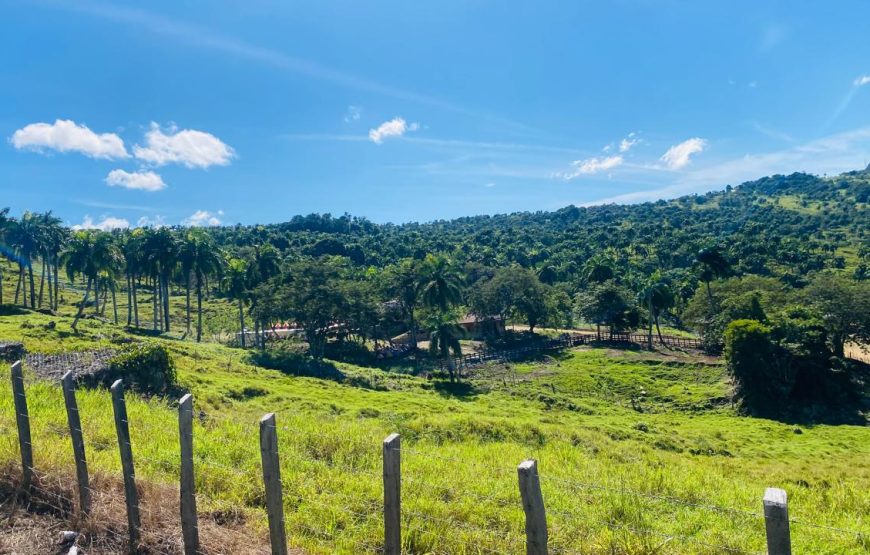 Tour to Isabel de Torres Mountain